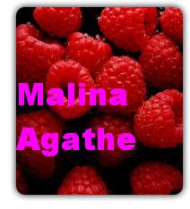Agathe2