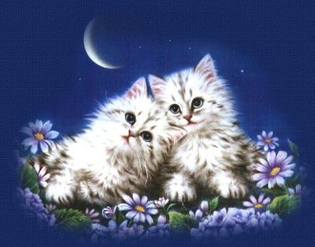 chats