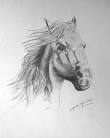ccheval