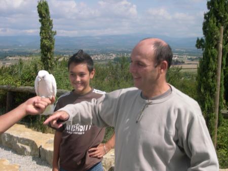 carcasonne