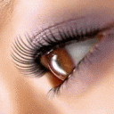 oeil