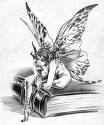 fee