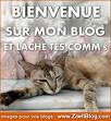 bienvenue sur mon blog